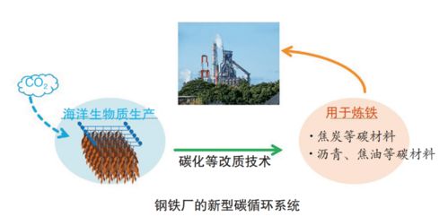 日本制铁以1.4亿日元预算投入海洋生物质炼铁技术开发