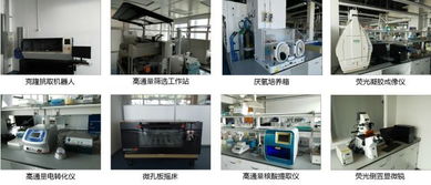 生物技术开发与化学工程技术服务平台的融合创新