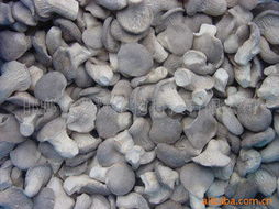 邯郸市兆辉生物科技 深耕生物技术开发，打造多元化高品质食用菌产品矩阵