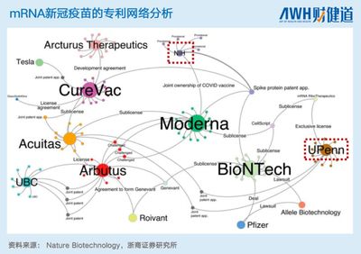 中国本土mRNA技术 差距、突破与未来之路