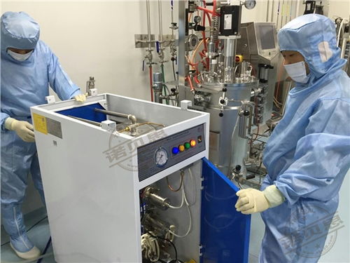 生物制药厂中蒸汽辅助川贝枇杷膏生产的生物技术开发路径